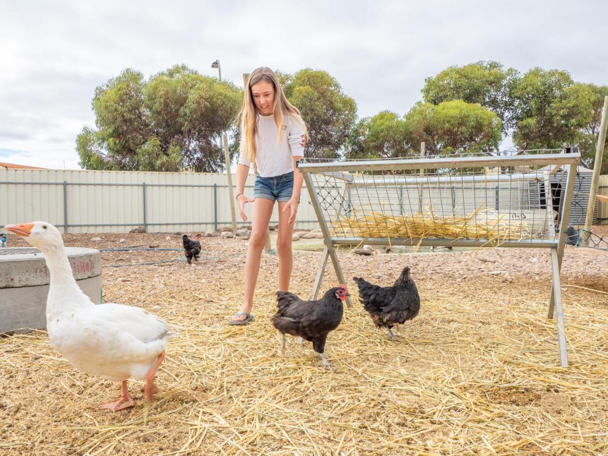 Wallaroo Holiday Park Eksteriør billede
